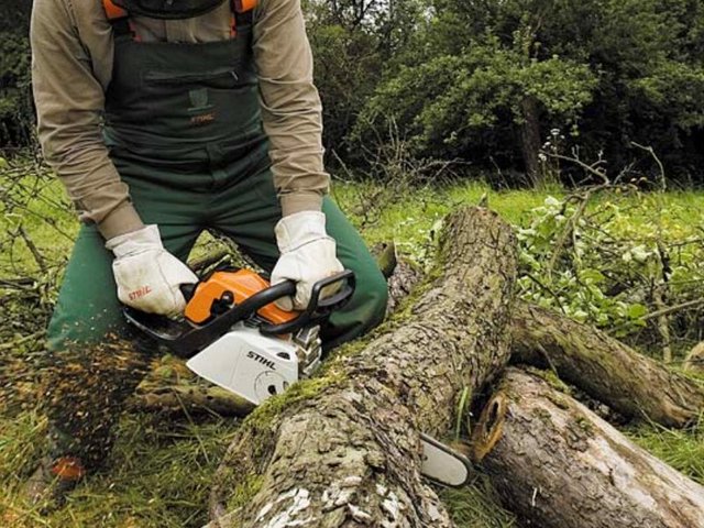 Service coupe de bois 27 entre particuliers